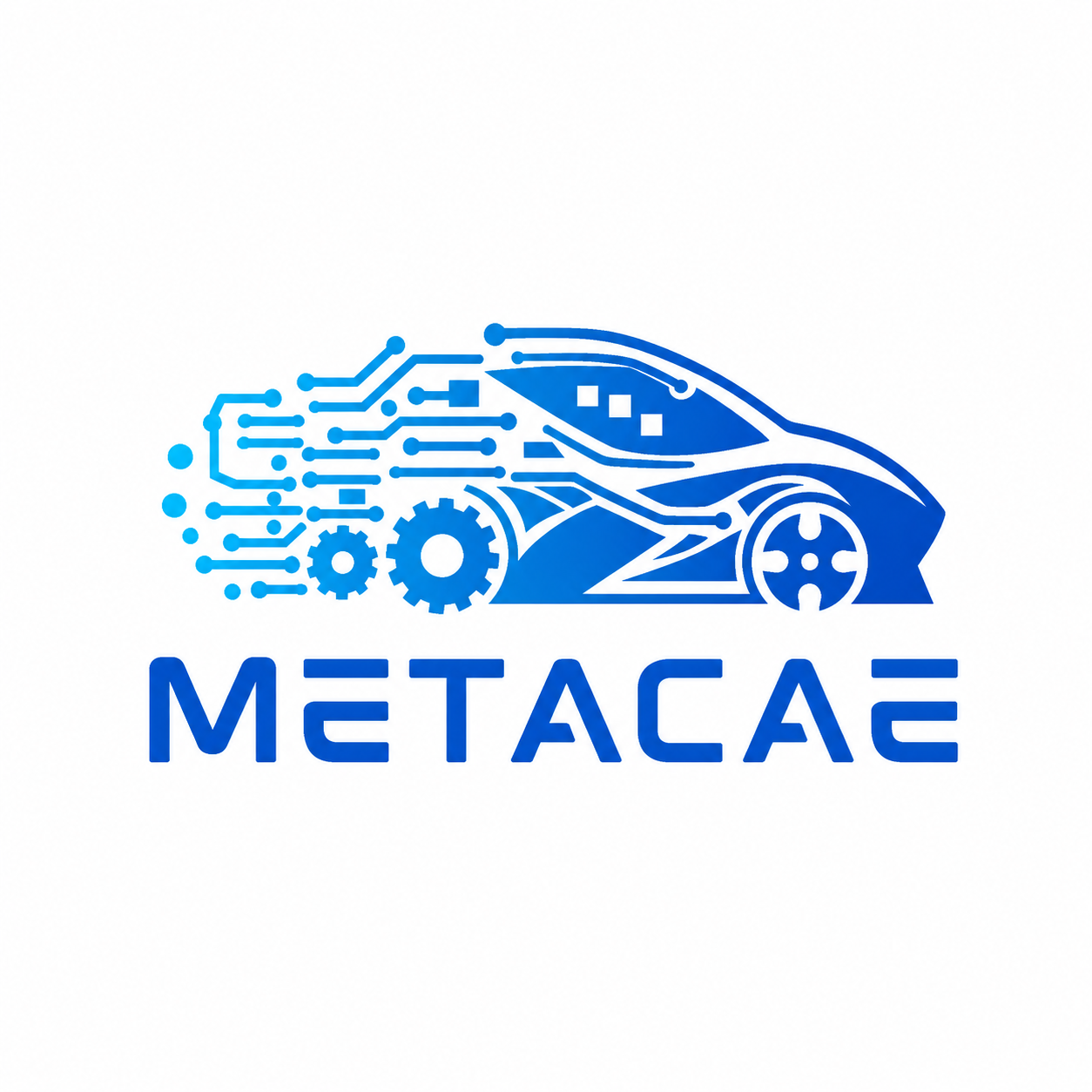 MetaCAE